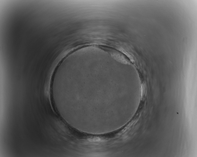 X0000088700195200706071546