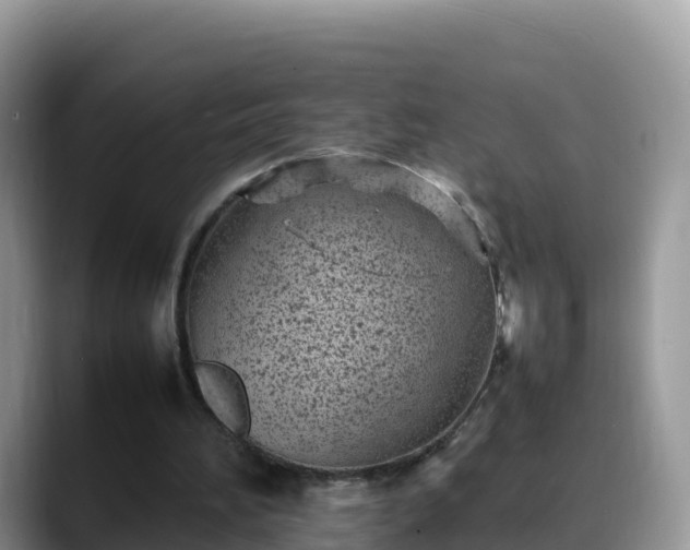 X0000088700196200706071546