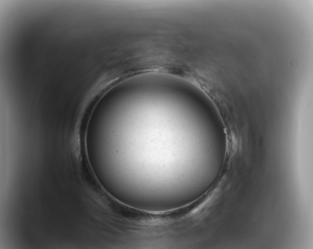X0000088700198200706071546