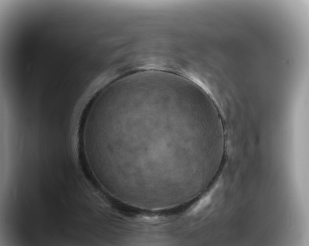 X0000088700199200706071546