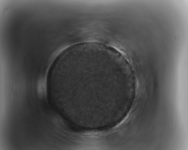 X0000088700200200706071546