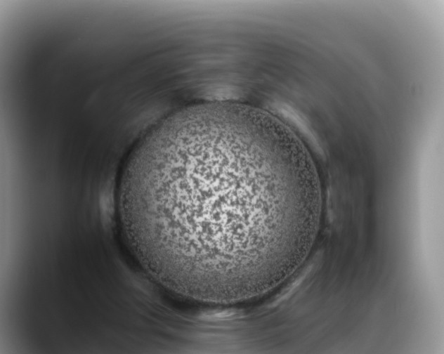 X0000088700202200706071546