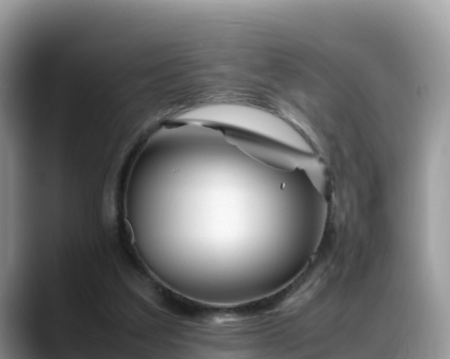 X0000088700203200706071546