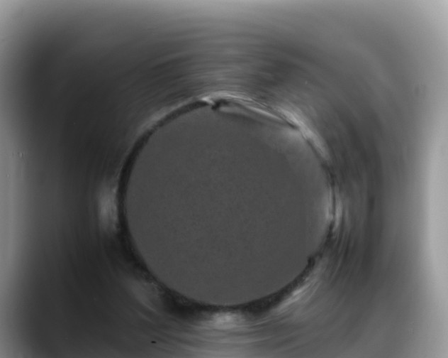 X0000088700204200706071546