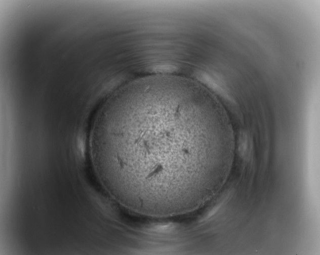X0000088700206200706071546