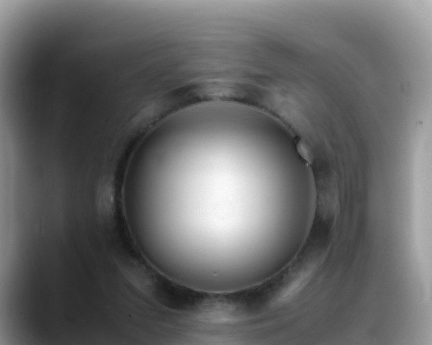 X0000088700207200706071546