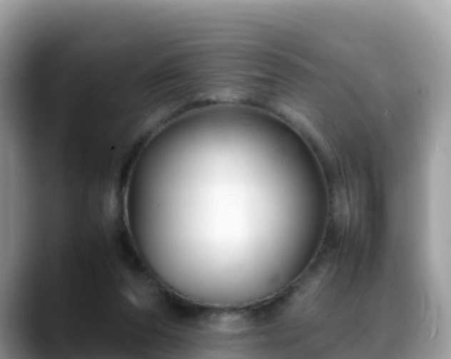 X0000088700208200706071546