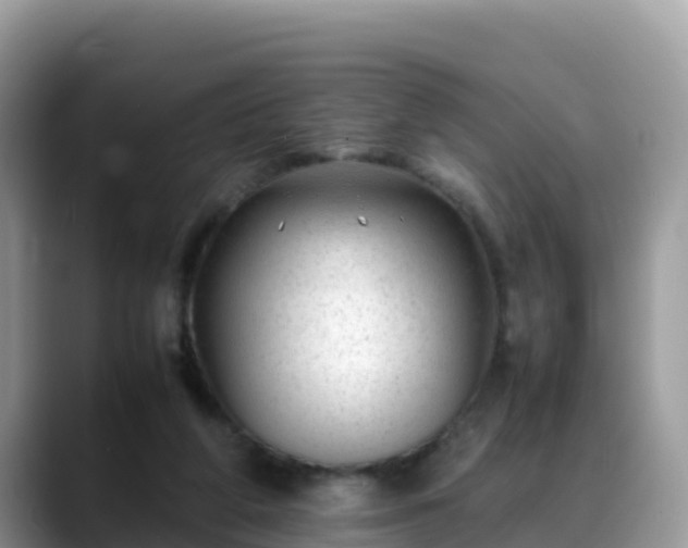 X0000088700210200706071546