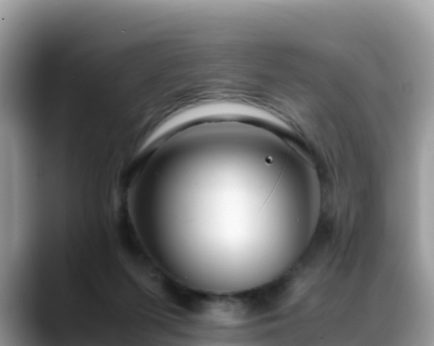 X0000088700215200706071546