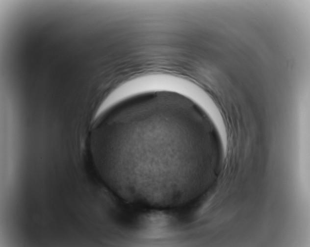 X0000088700219200706071546