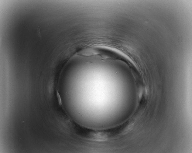 X0000088700221200706071546