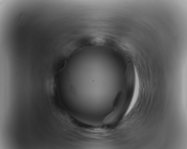 X0000088700223200706071546