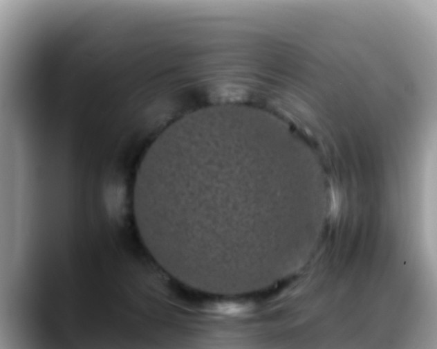 X0000088700224200706071546