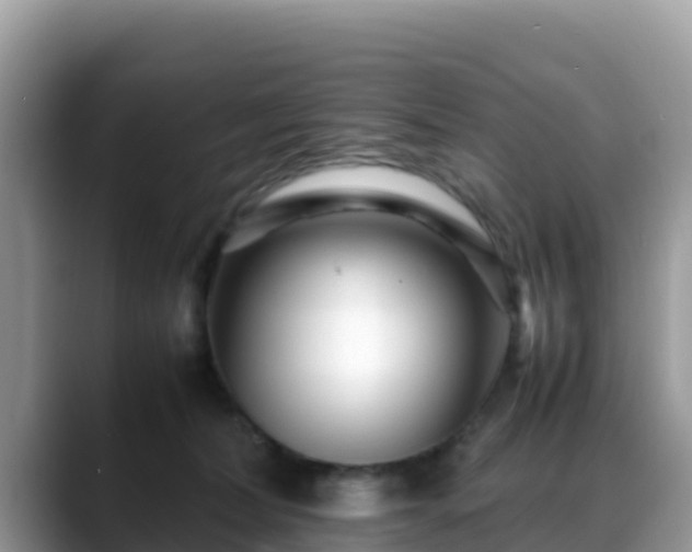 X0000088700228200706071546