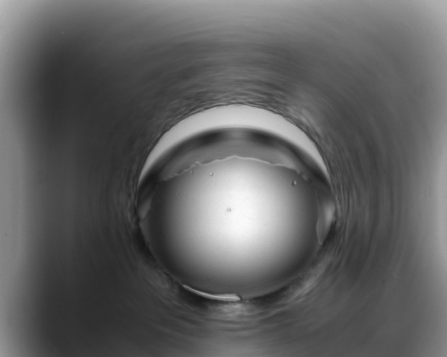 X0000088700237200706071546