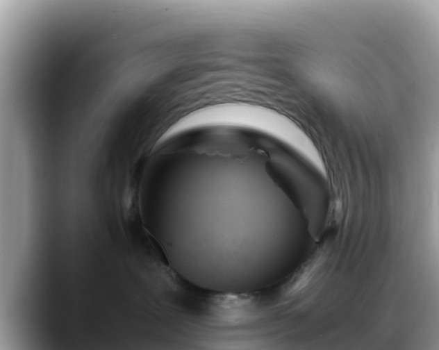 X0000088700239200706071546