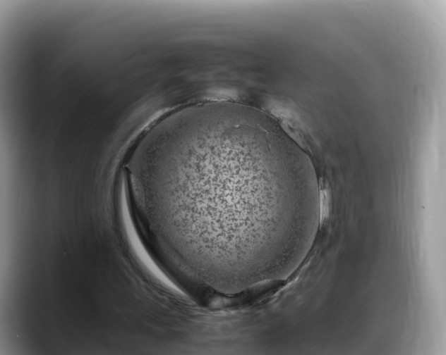 X0000088700243200706071545