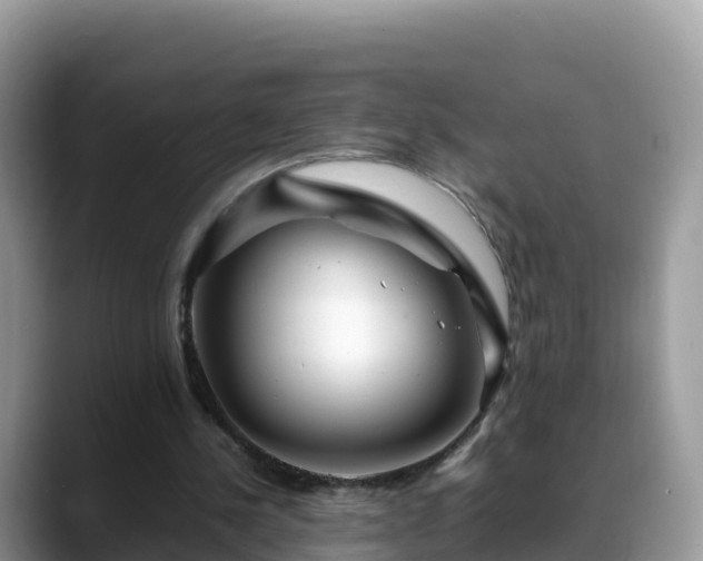 X0000088700244200706071545