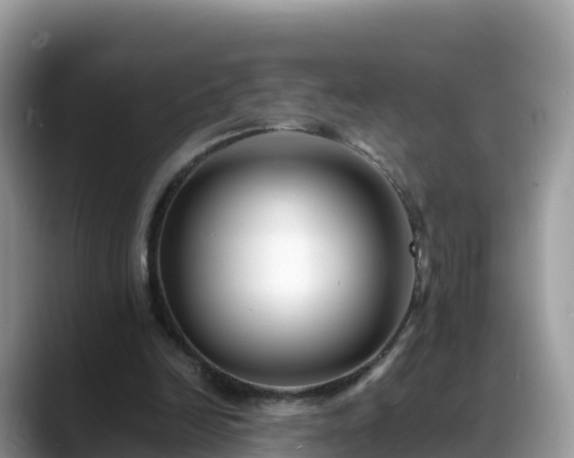 X0000088700246200706071545