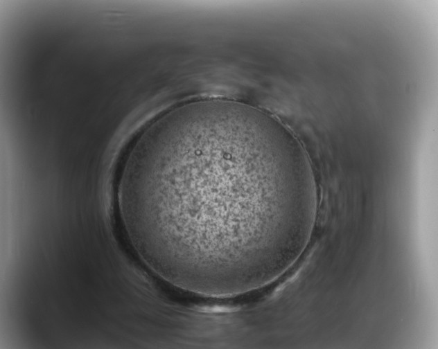 X0000088700247200706071545