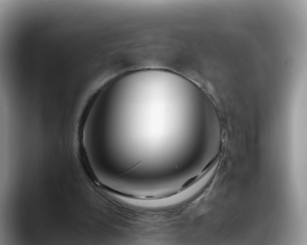 X0000088700248200706071545