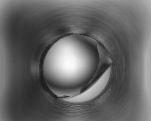 X0000088700252200706071545