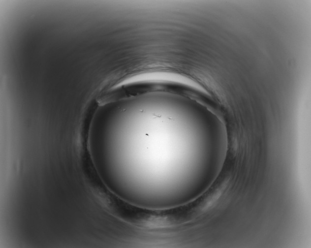 X0000088700256200706071545