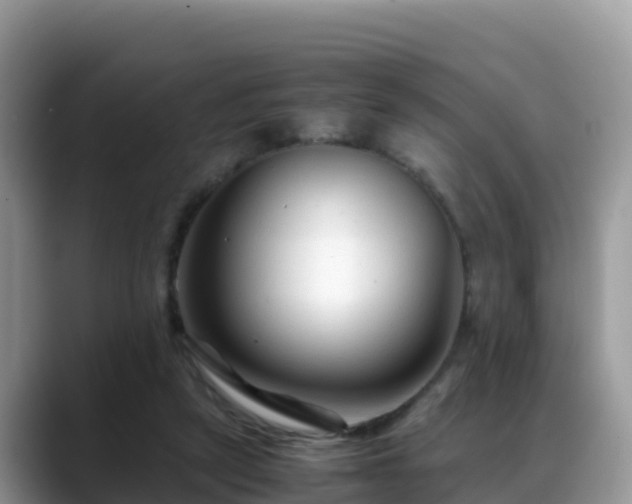 X0000088700257200706071545