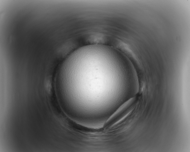 X0000088700259200706071545