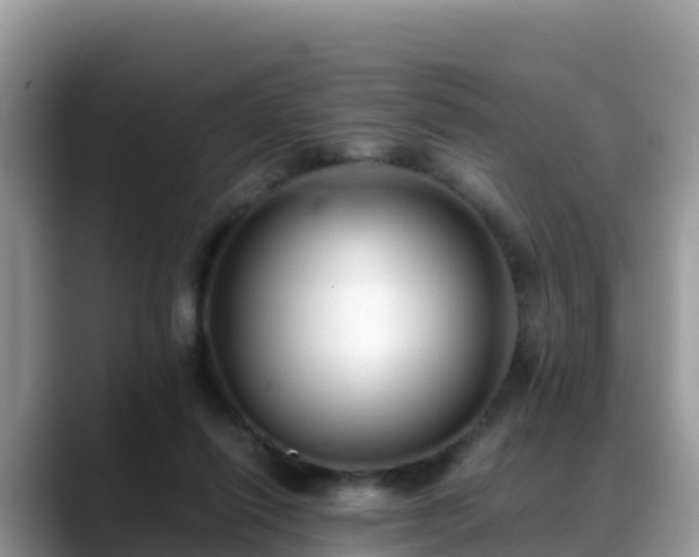 X0000088700262200706071545