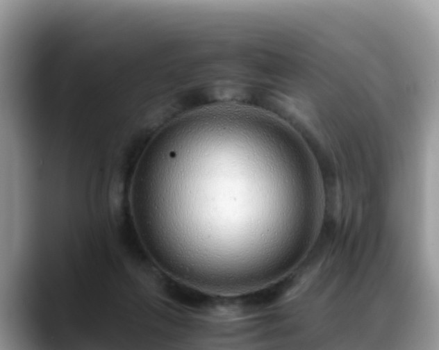 X0000088700263200706071545