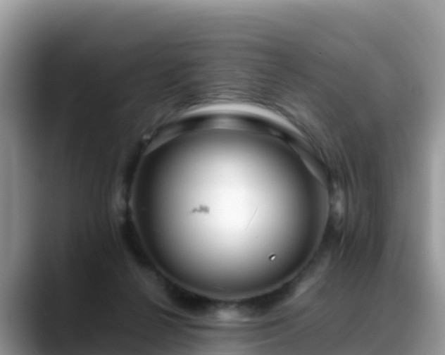 X0000088700264200706071545