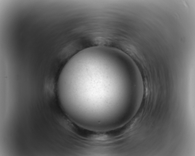 X0000088700266200706071545