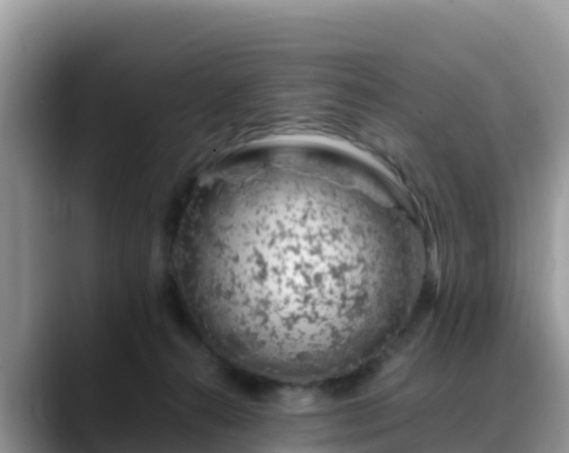 X0000088700272200706071546