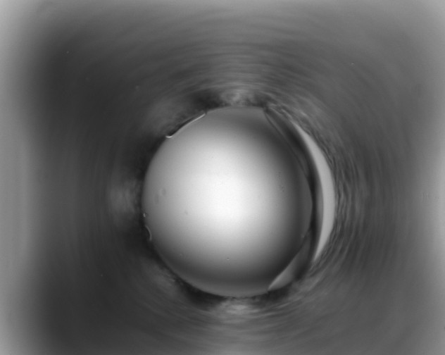 X0000088700280200706071546