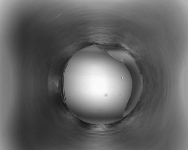 X0000088700288200706071546