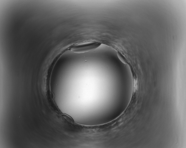 X0000088700291200706071545