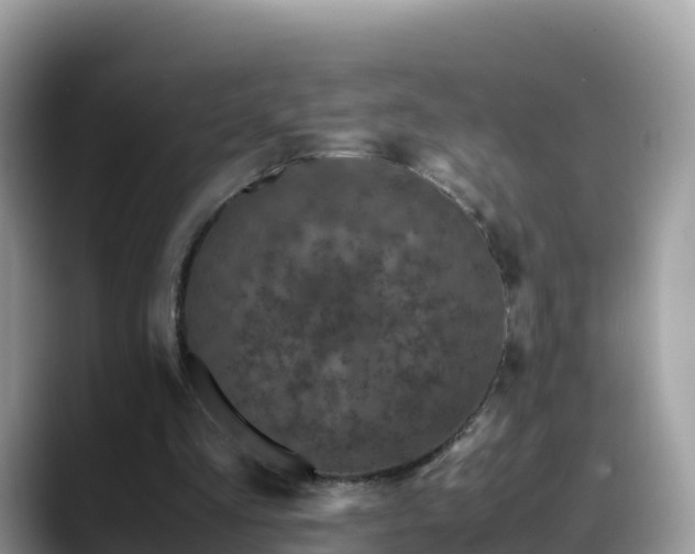 X0000088700293200706071545