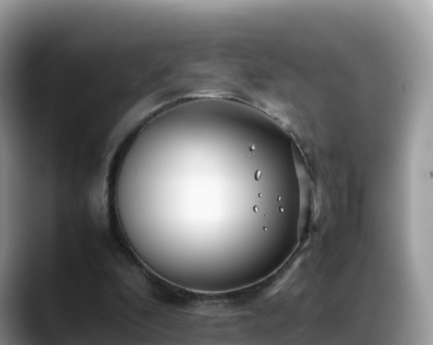 X0000088700296200706071545