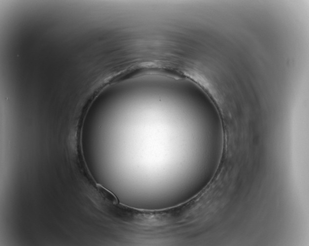 X0000088700297200706071545