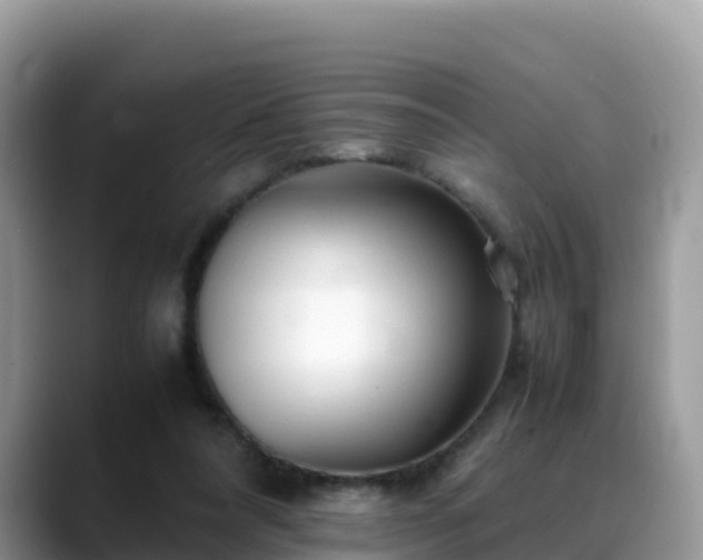 X0000088700304200706071545