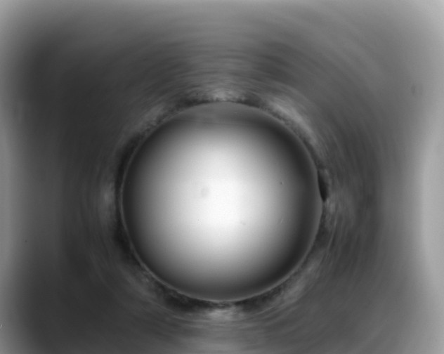 X0000088700306200706071545