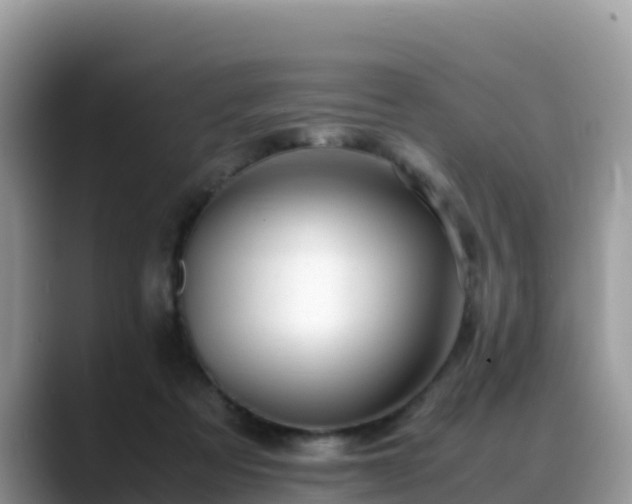 X0000088700313200706071545