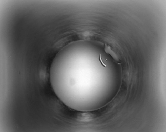 X0000088700324200706071545