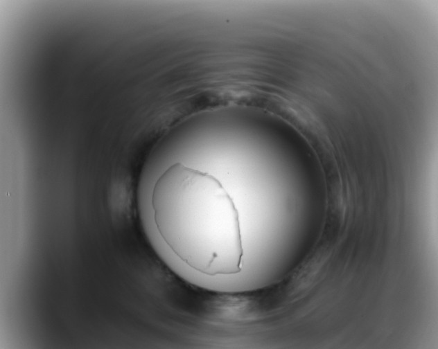 X0000088700328200706071545