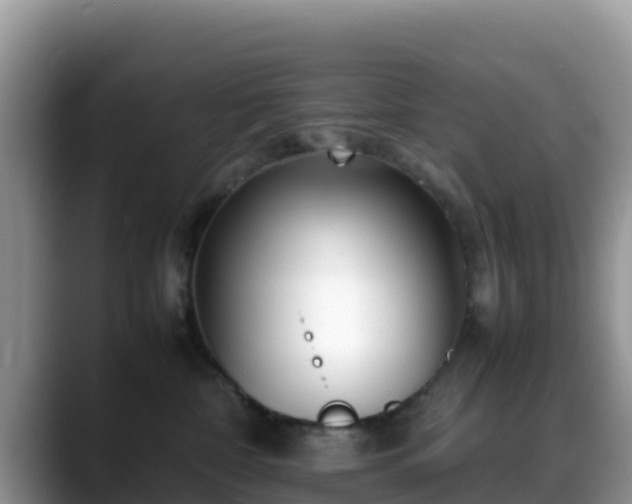 X0000088700332200706071545
