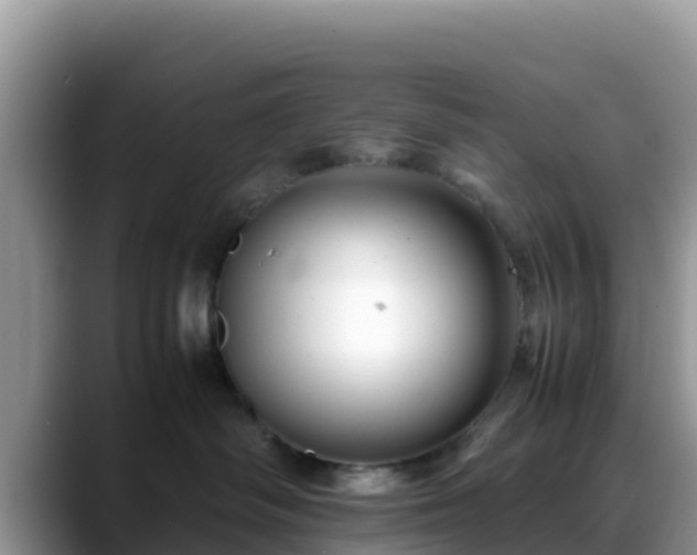 X0000088700334200706071545