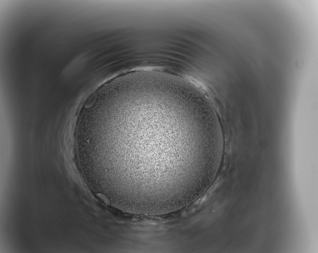 X0000088700337200706071544