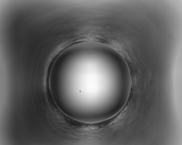 X0000088700340200706071544