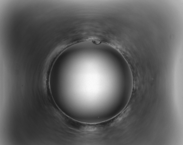 X0000088700341200706071544